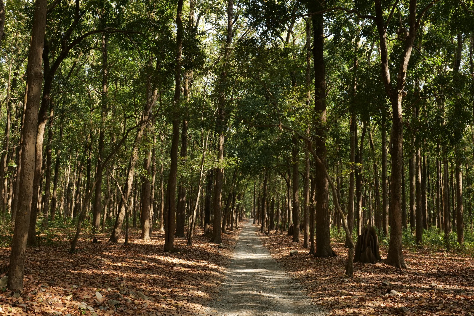 Sitabani Eco-tourism Zone